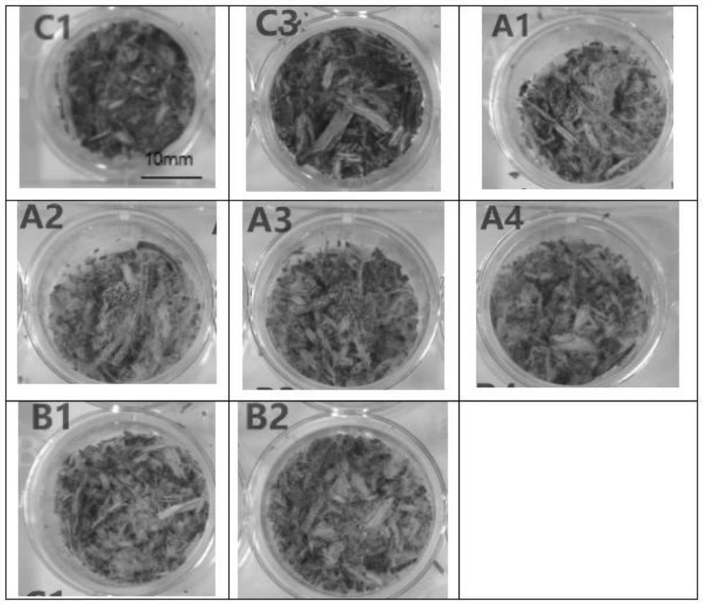 A flowering inducer and application of the flowering inducer and flowering process