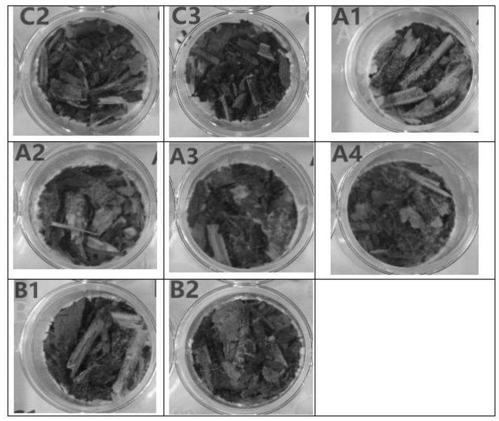 A flowering inducer and application of the flowering inducer and flowering process