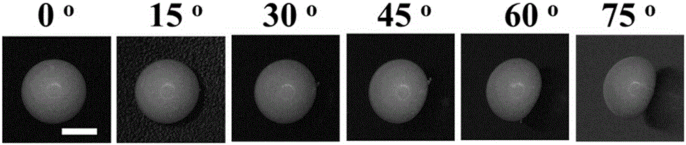 Morphology-controllable and color angle-independent photonic crystal particle and preparation method thereof