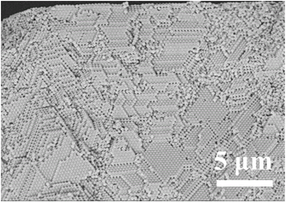 Morphology-controllable and color angle-independent photonic crystal particle and preparation method thereof