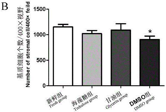 Cryoprotectant free of DMSO (dimethyl sulfoxide) and ovary cryopreservation method