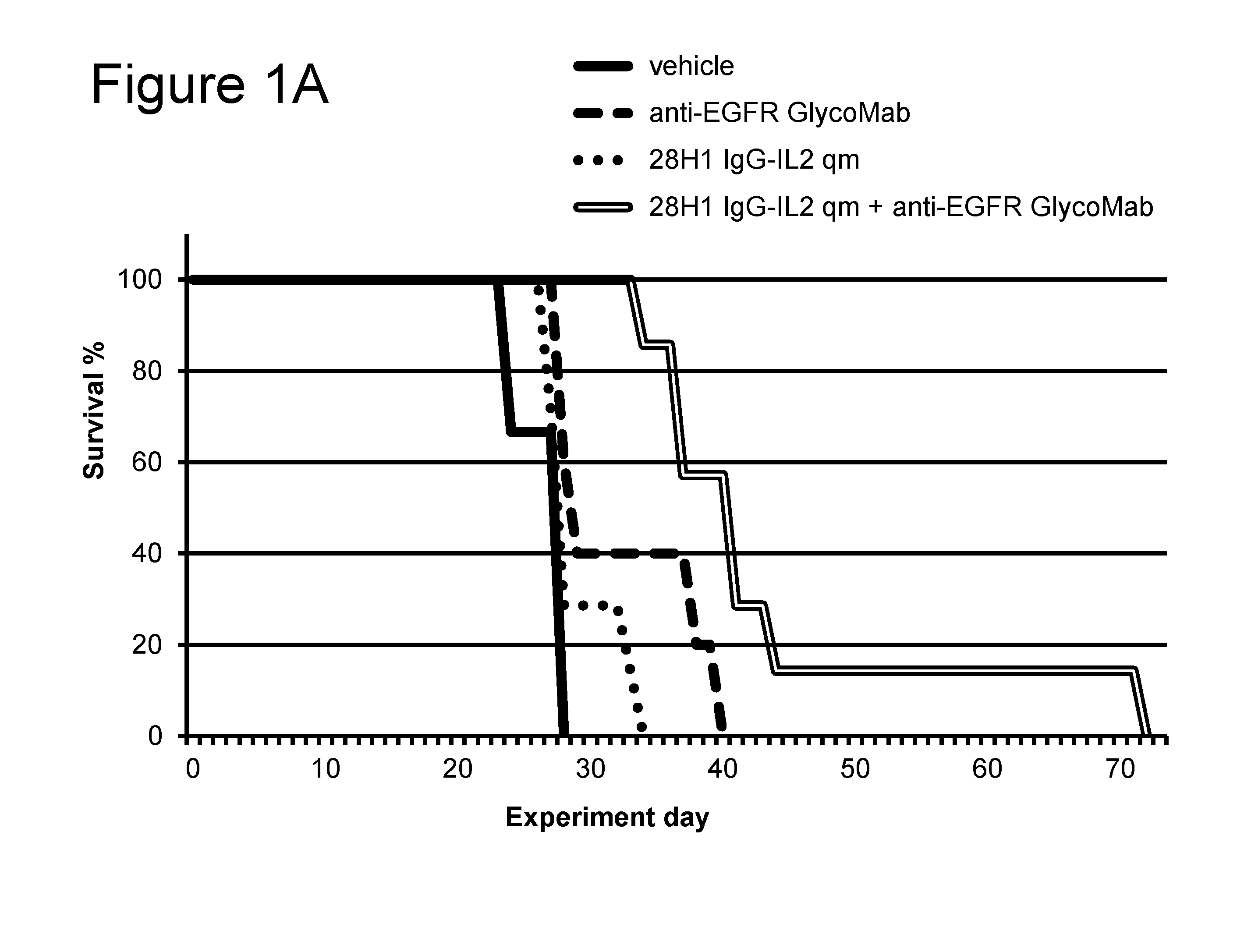 Combination il-2 immunoconjugate therapy