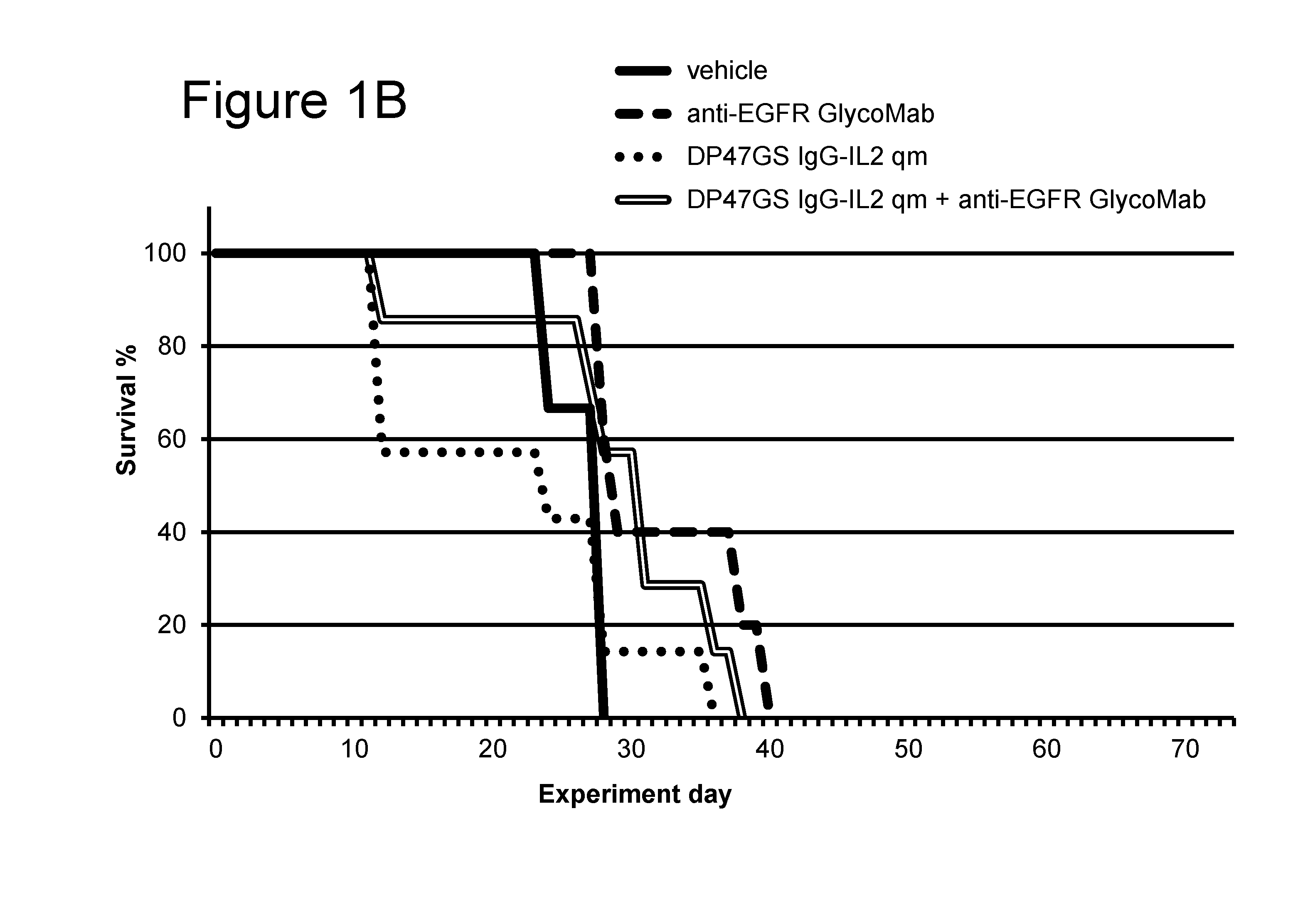 Combination il-2 immunoconjugate therapy