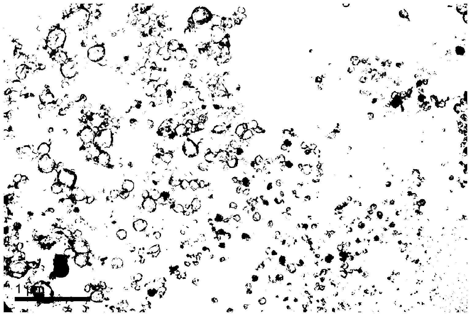 Preparation method of essential oil-contained silicon dioxide microcapsule