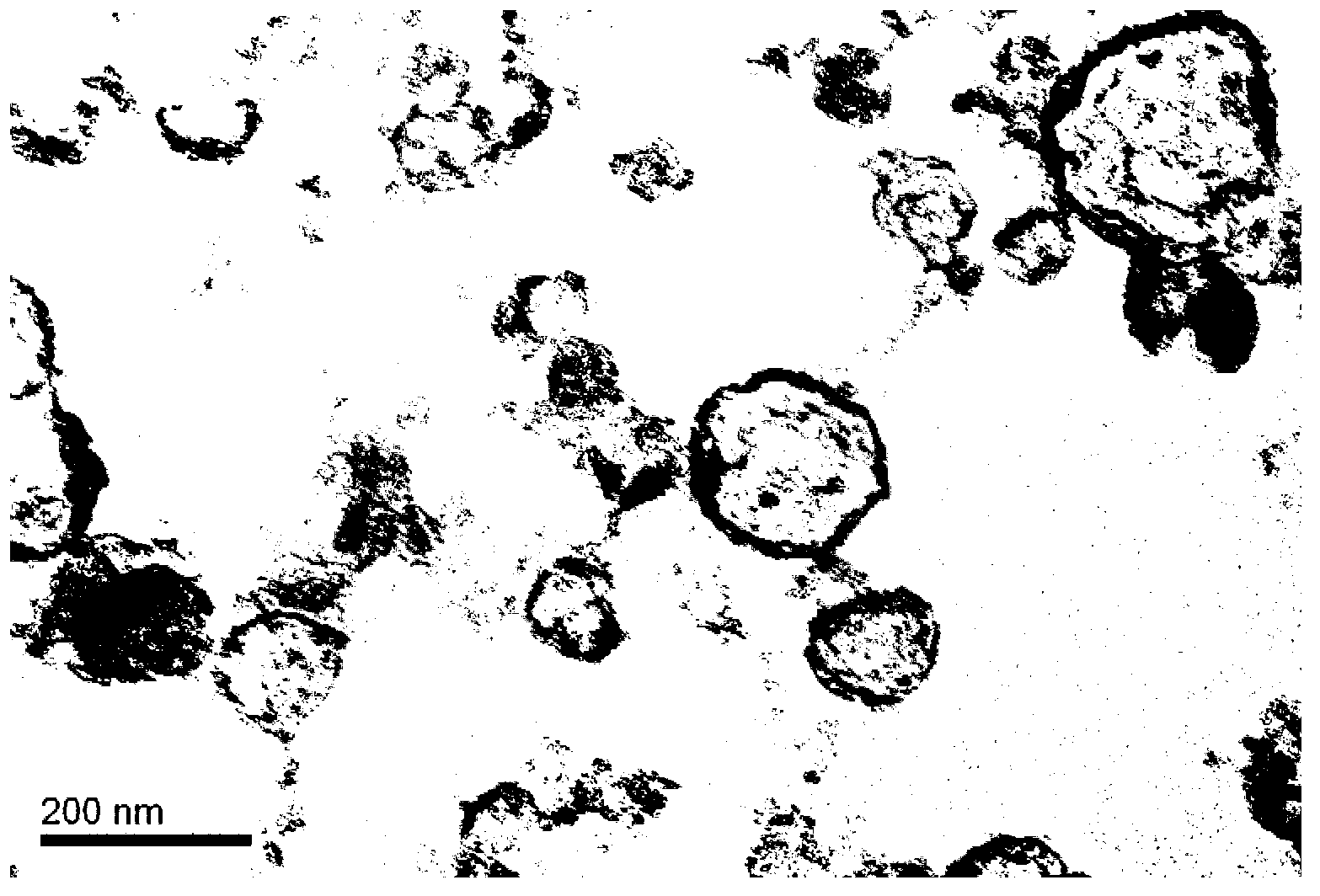 Preparation method of essential oil-contained silicon dioxide microcapsule