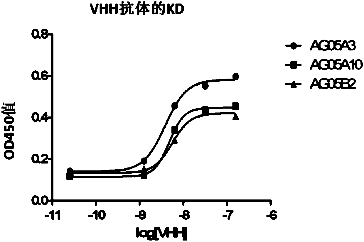 Camelid single-domain hcv antibodies and methods of use