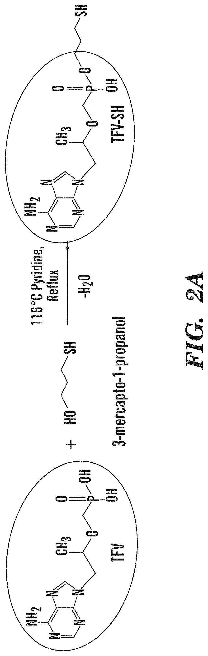 Tenofovir detection assay