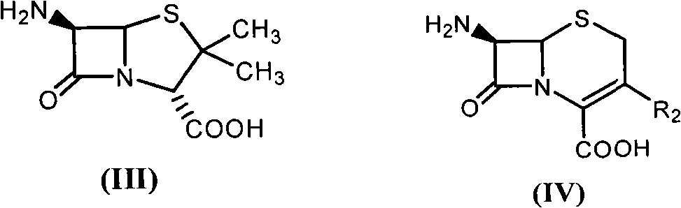 Method for enzymatically synthesizing beta-lactam antibiotic in organic solvent