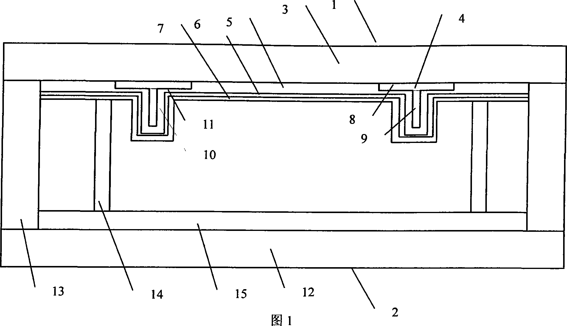 Plasma flat plate light source