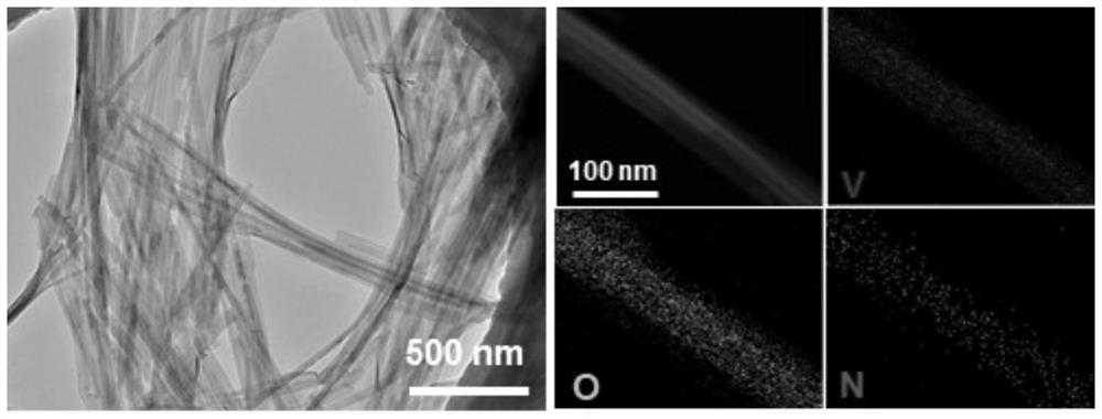 Vanadium pentoxide nanobelt with hydrogen bond network as well as preparation and application thereof