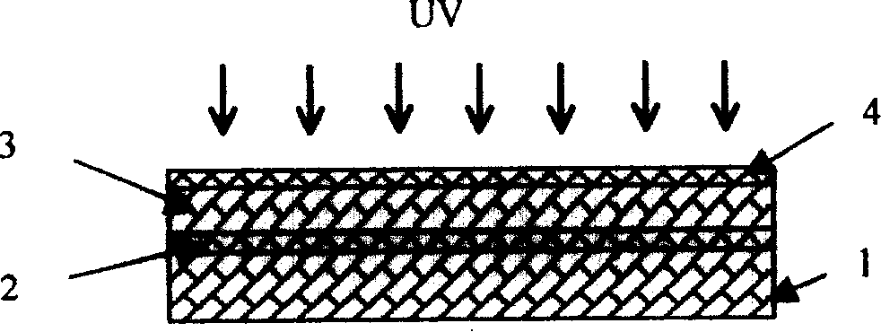 Method for producing microelectromoulding metal mould