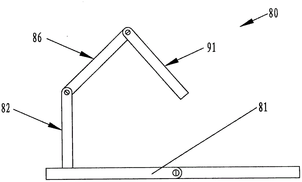 livestock guide corridor