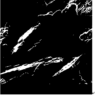 Method for synthesis of (010) preferred orientation bismuth vanadate powder by glycerol preparation hydrothermal process