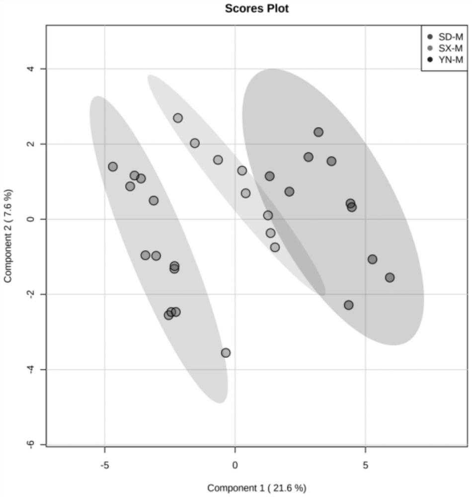 Non-targeted lipidosome identification method for goat milk production places