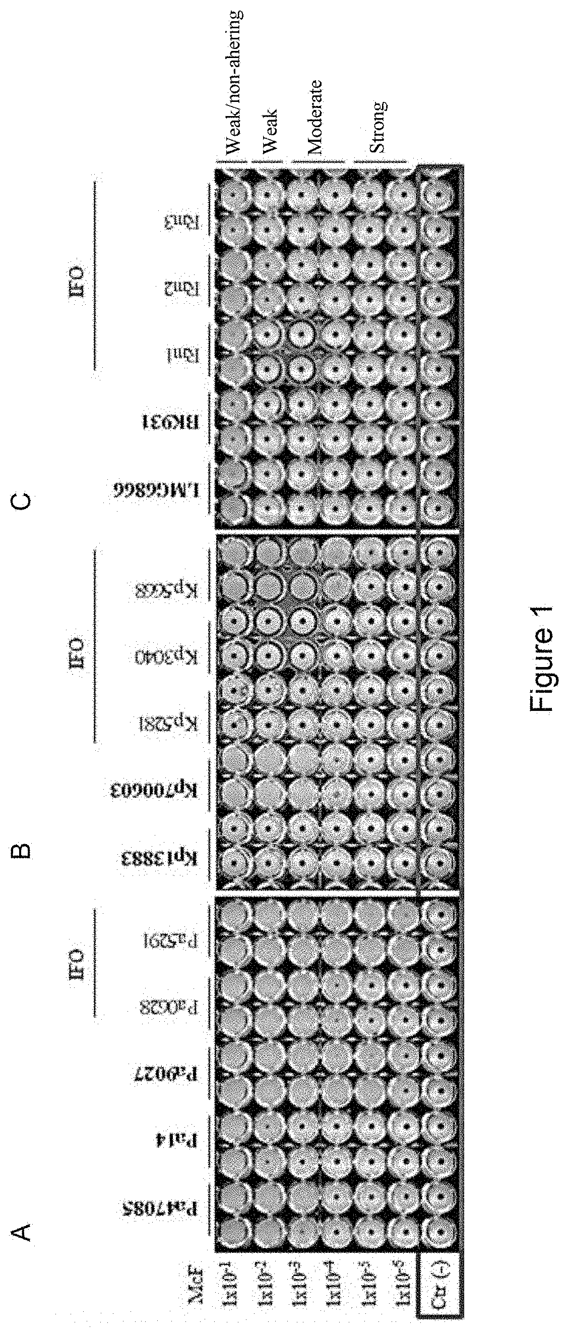 Method for classifying microorganisms