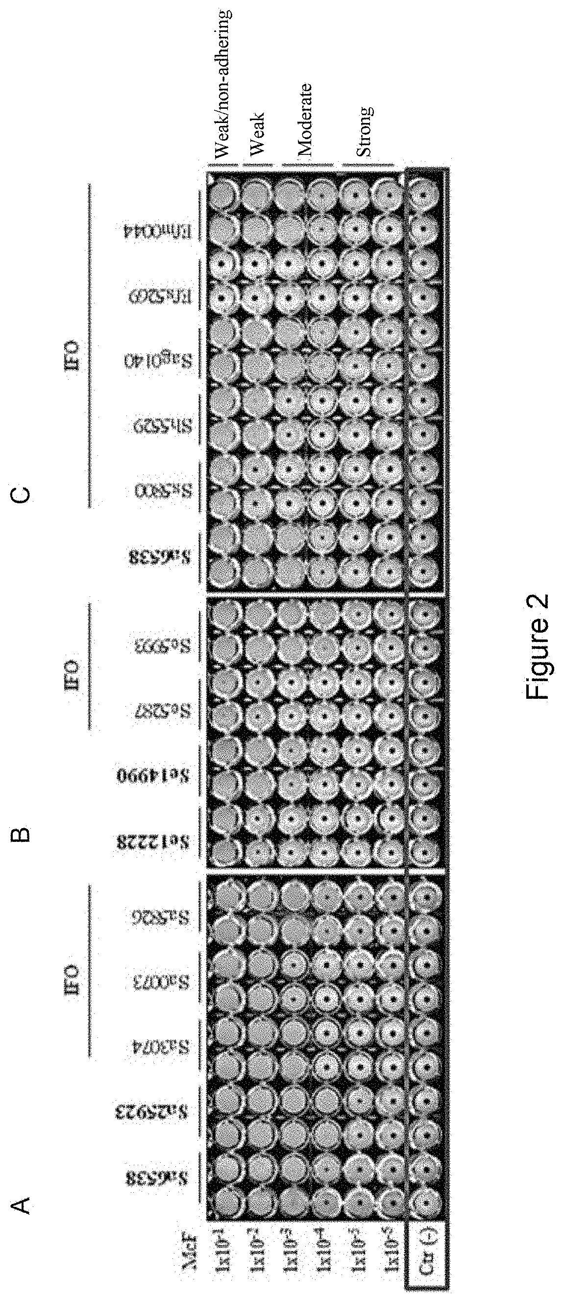 Method for classifying microorganisms