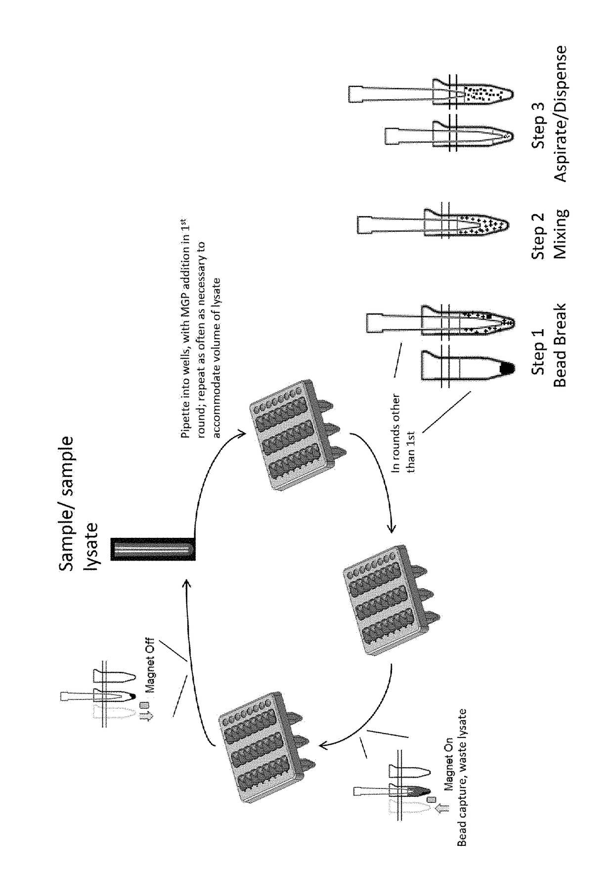 Successive capture of nucleic acid by magnetic glass particles