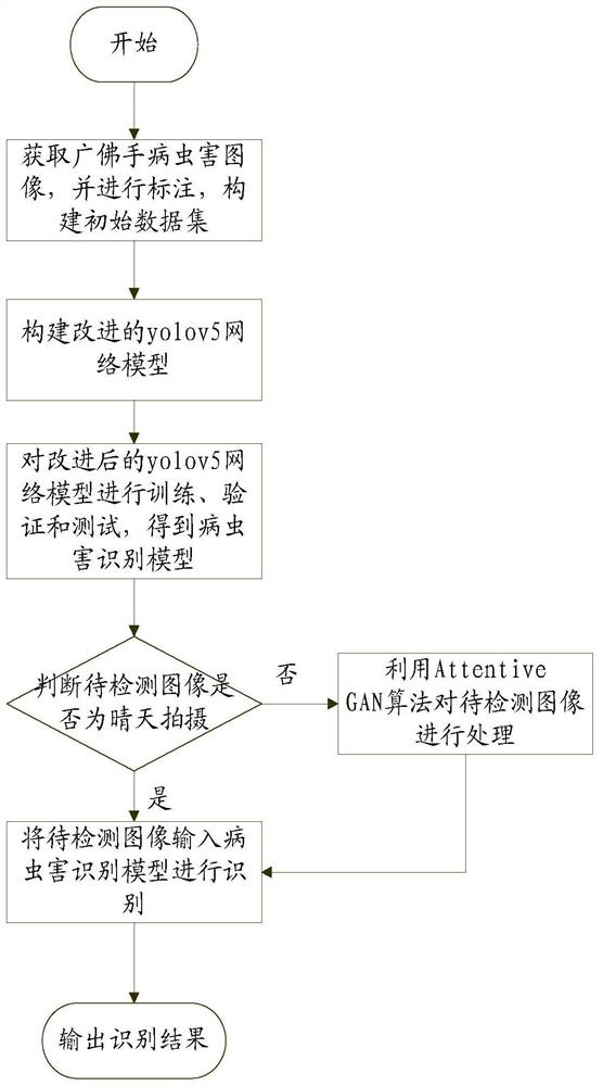 Method and system for identifying Citri medica diseases and insect pests based on improved yolov5 network