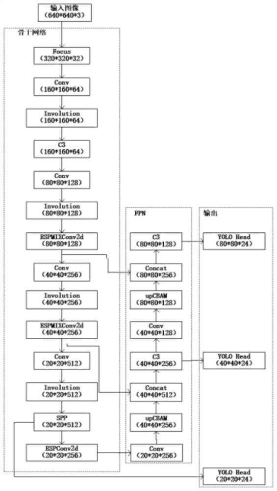 Method and system for identifying Citri medica diseases and insect pests based on improved yolov5 network