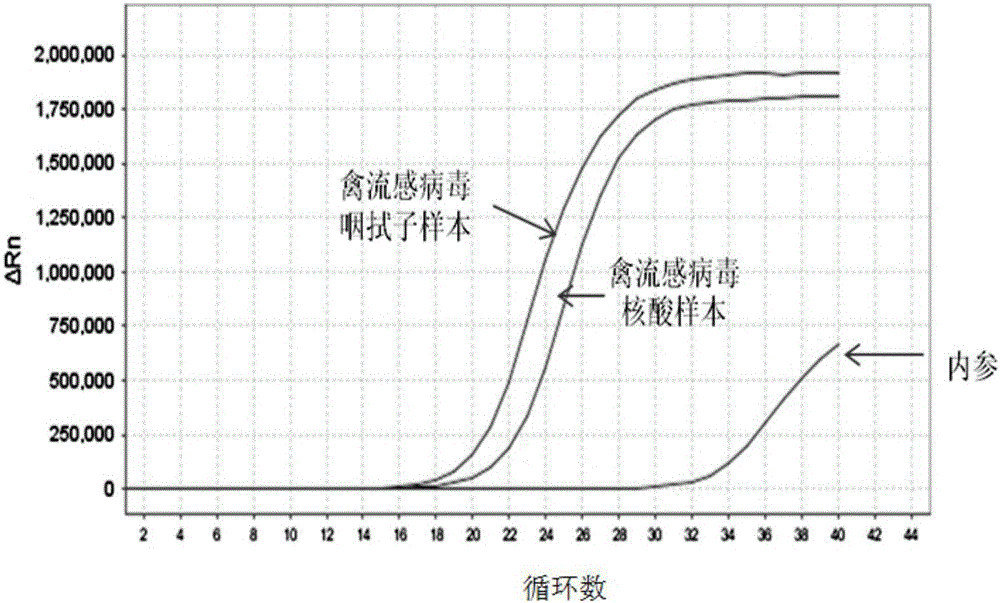 Primer and probe as well as kit used for avian influenza virus universal type direct RT-PCR detection