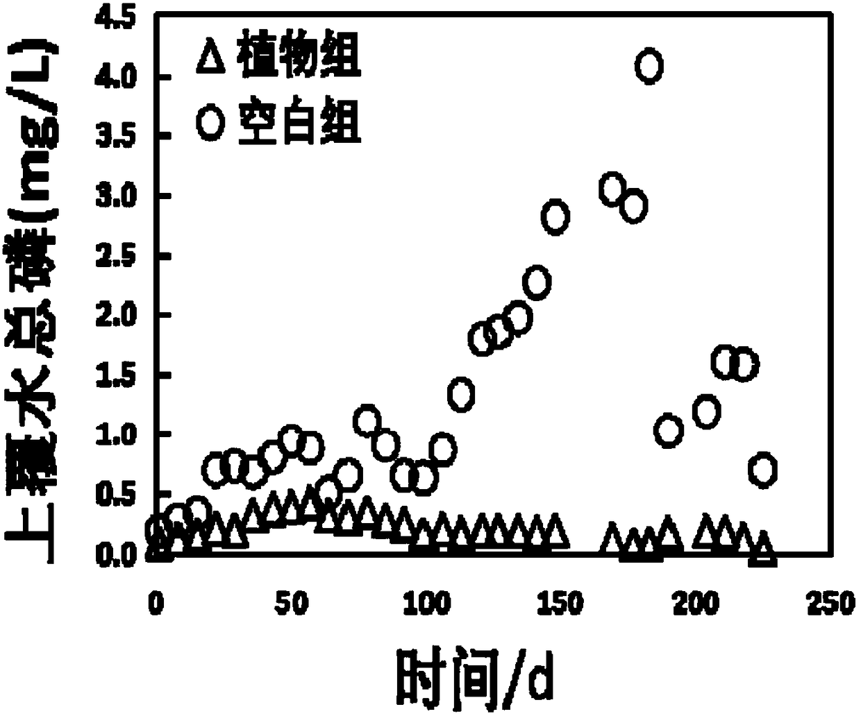 Application of rice field weed submerged plant to black and odorous water treatment