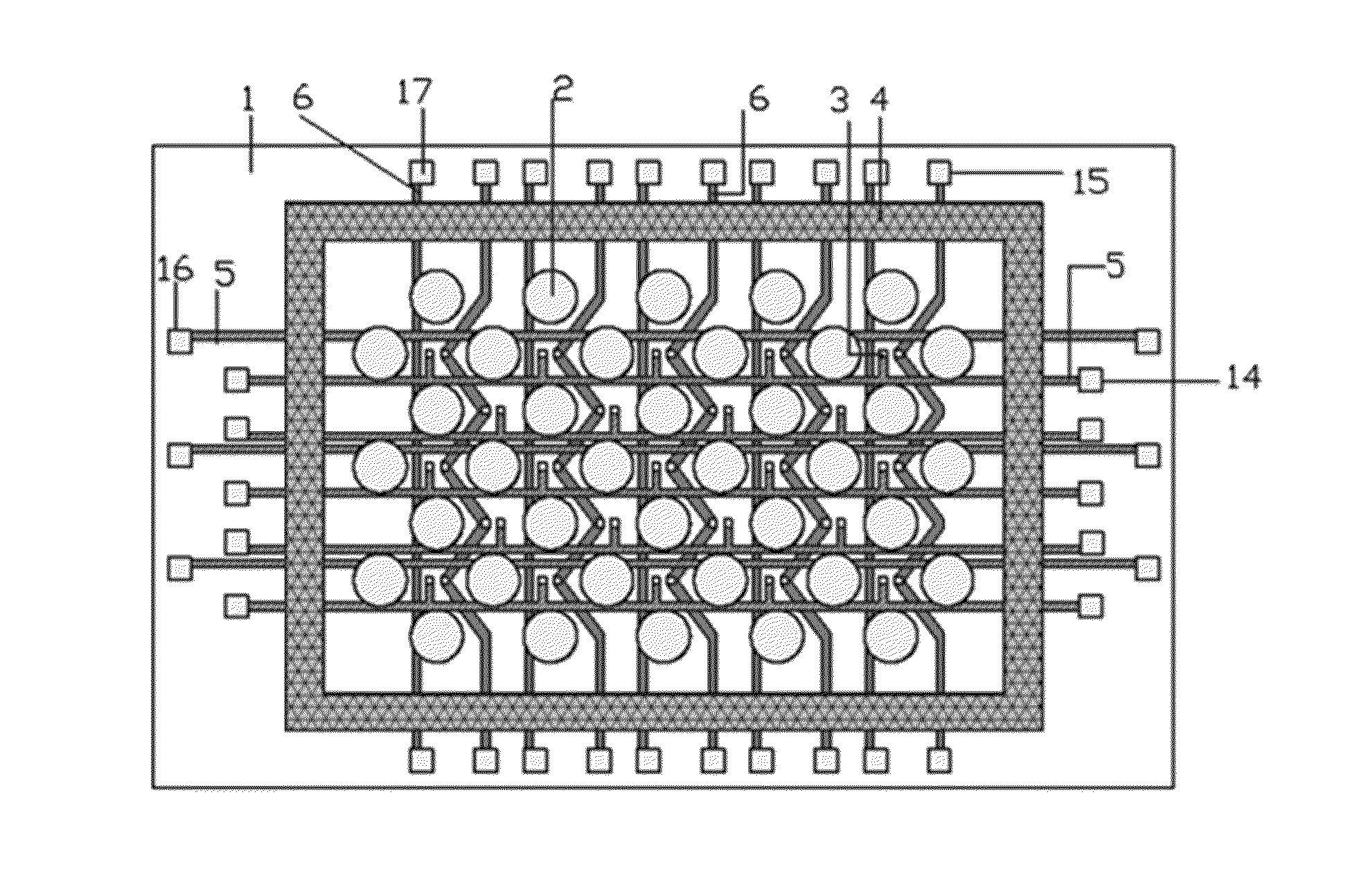 Single cell array microchip and fabrication, electrical measurement and electroporation method thereof