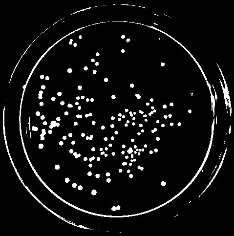 Microorganism-enhanced microbial agent capable of remarkably promoting composting effect before household garbage incineration, and application thereof