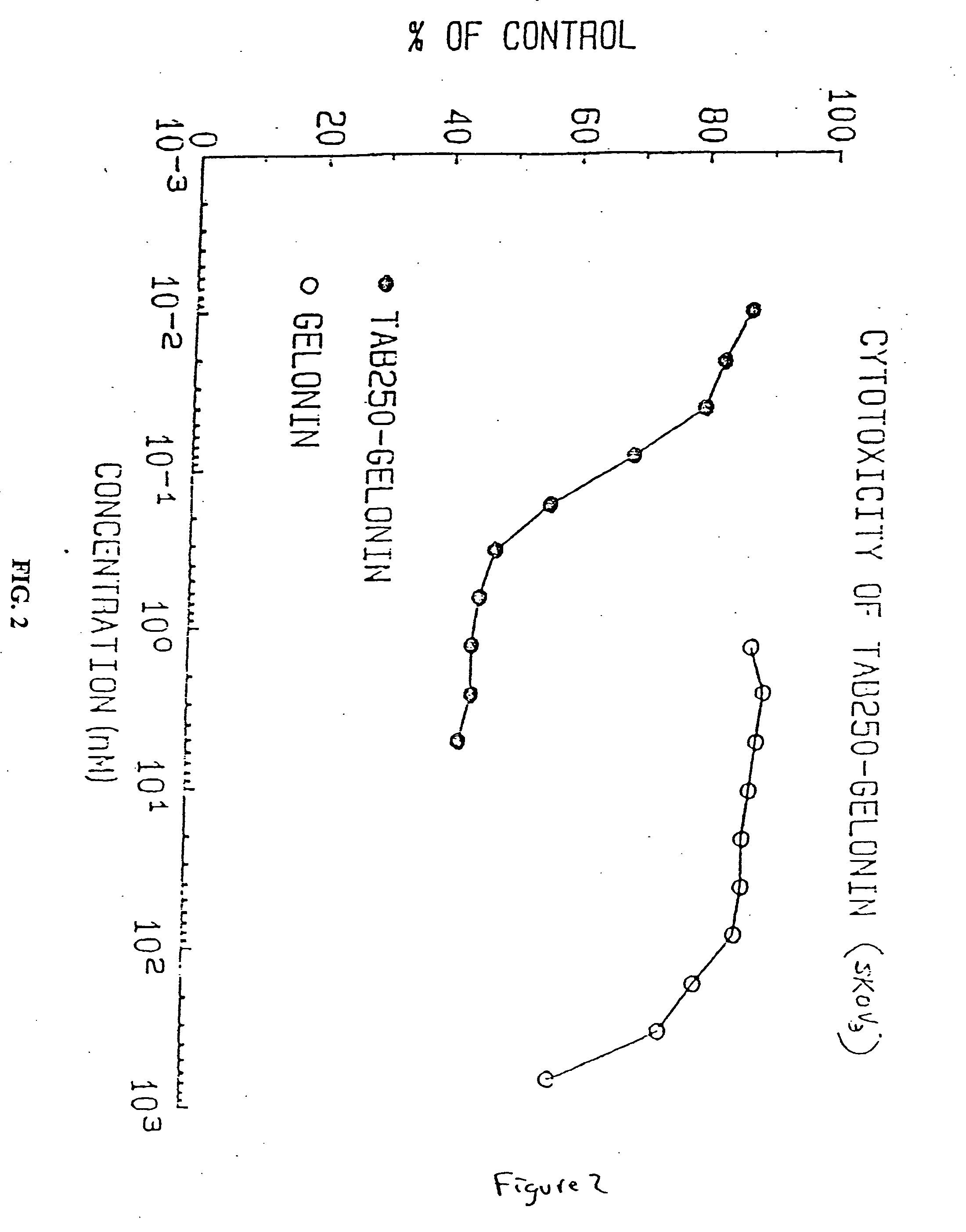 Immunotoxins directed against c-erbB-2(HER-2/neu) related surface antigens