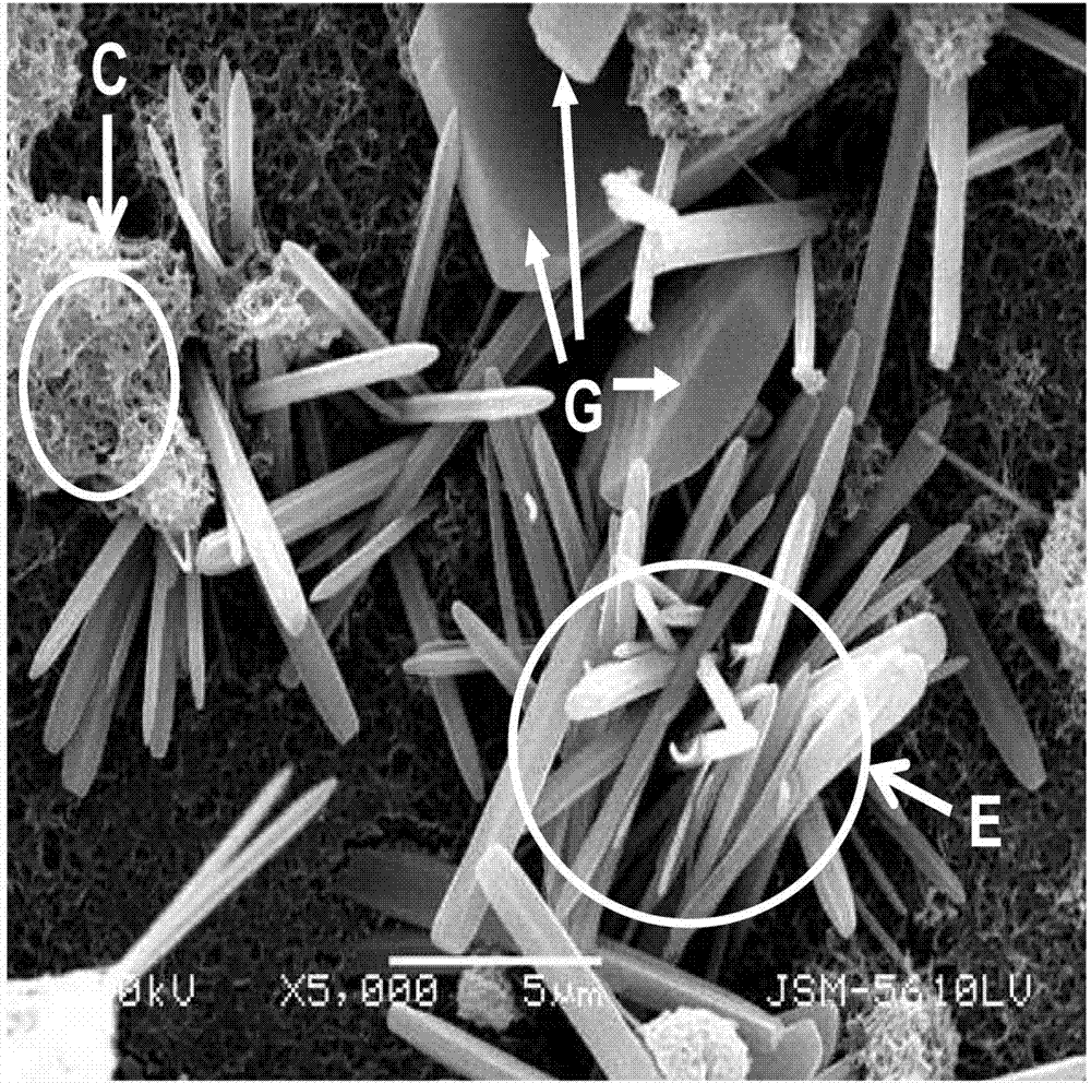 Phosphogypsum-based gelling material and its application in mine tailing filling