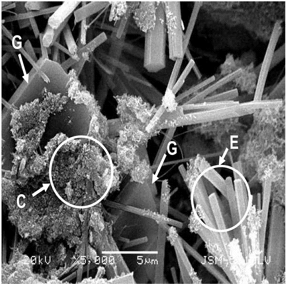 Phosphogypsum-based gelling material and its application in mine tailing filling