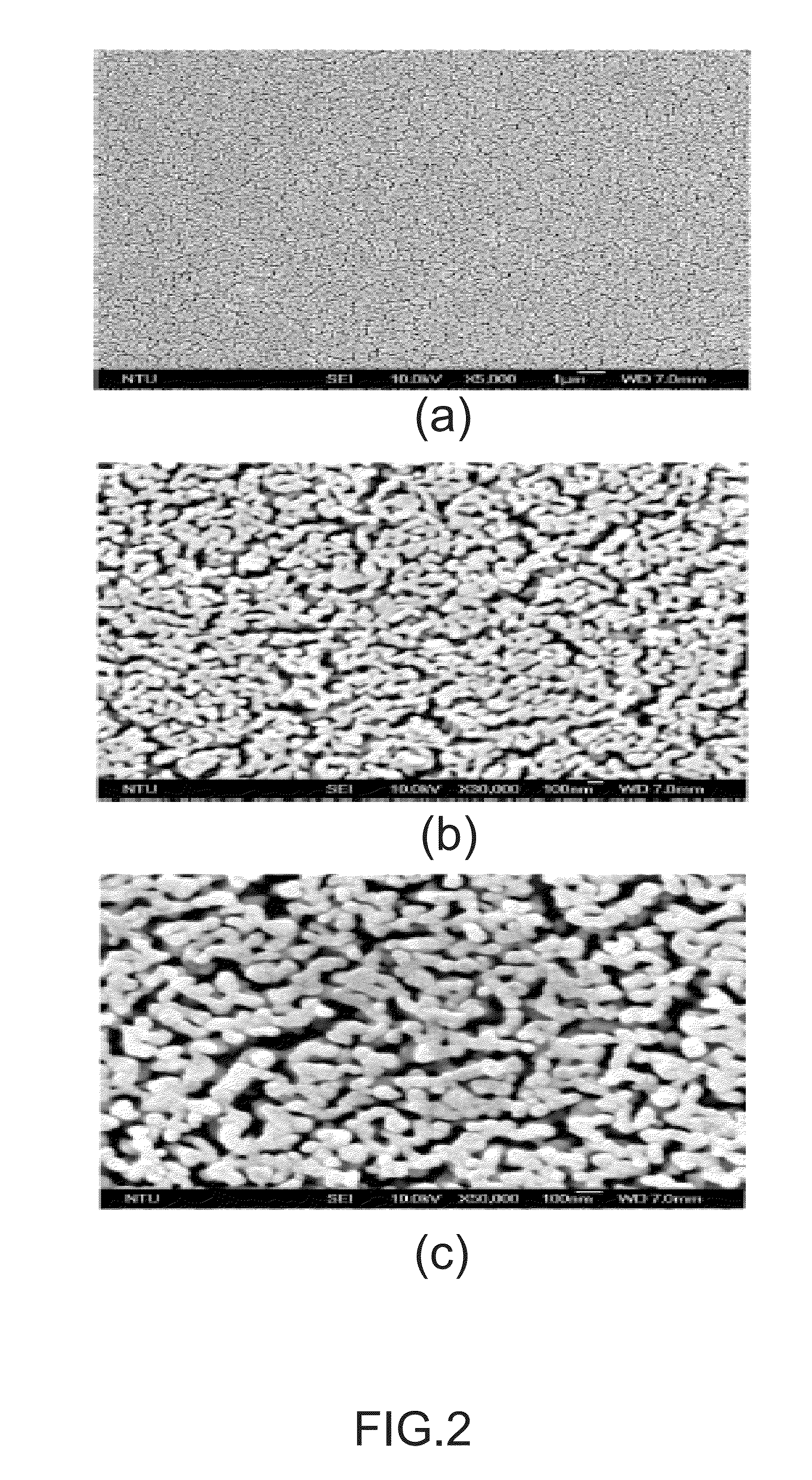 Super Capacitor And Method For Manufacturing The Same