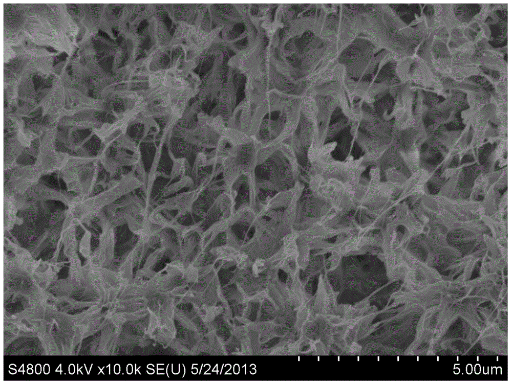 Preparation method of microporous membrane with multiscale gradient microstructure surface