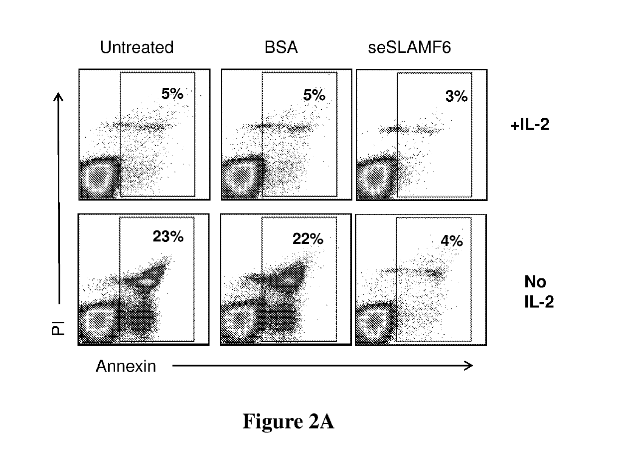 Cell compositions and methods for cancer therapy