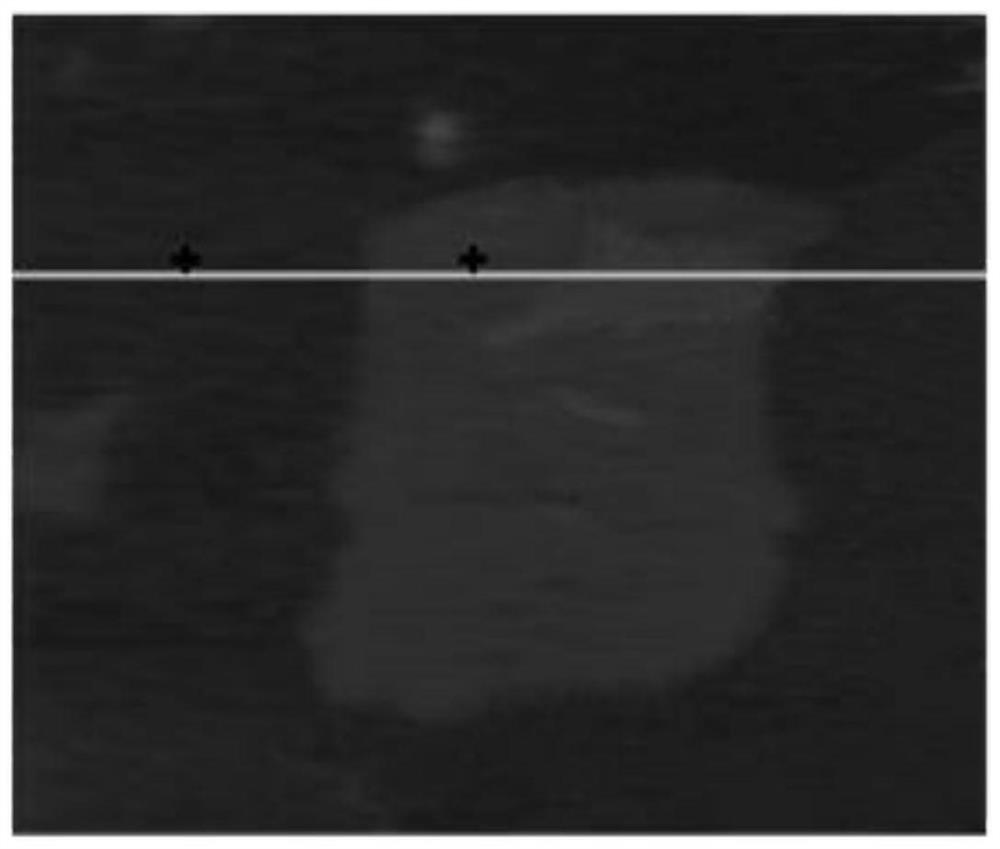 Electroreduced graphene oxide-nickel double corrole/platinum nanocluster supramolecular composite material and its preparation method and application