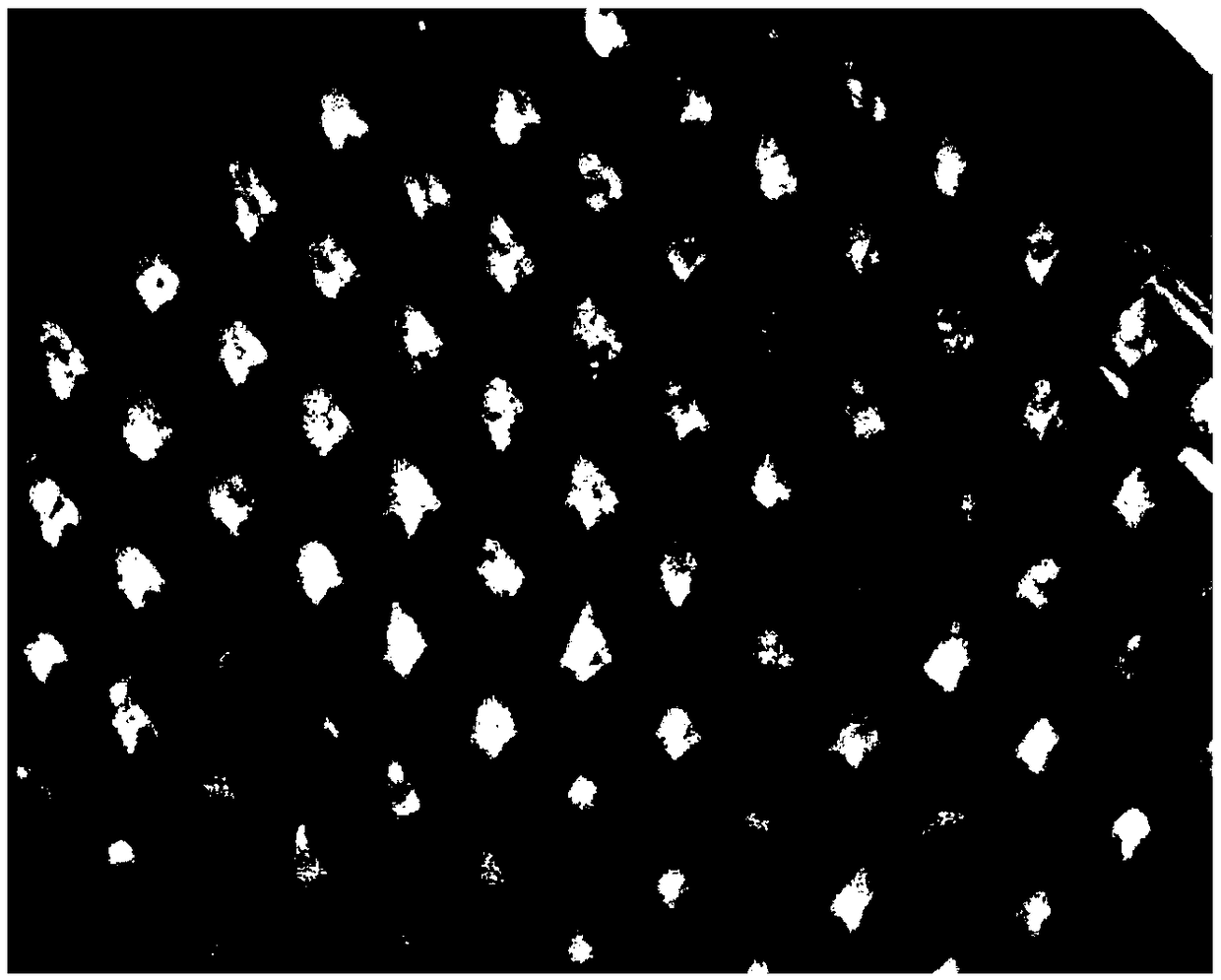 Microneedle patch for moisturizing and preparation method thereof