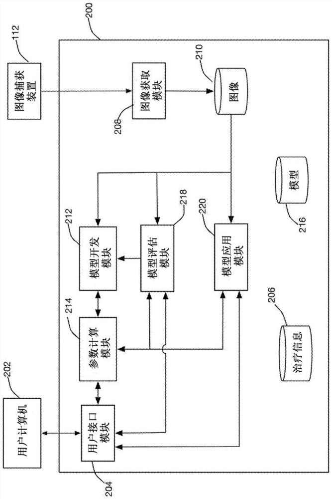 Systems and methods for automated analysis of cellular phenotypic responses