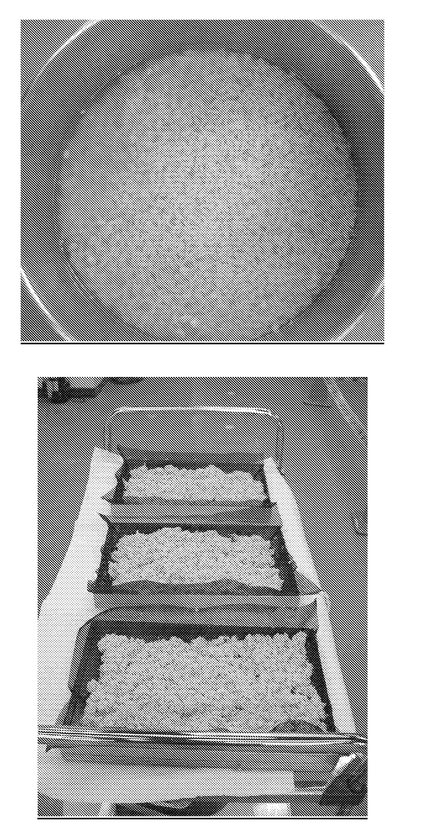 Microparticulated vaccines for the oral or nasal vaccination and boostering of animals including fish