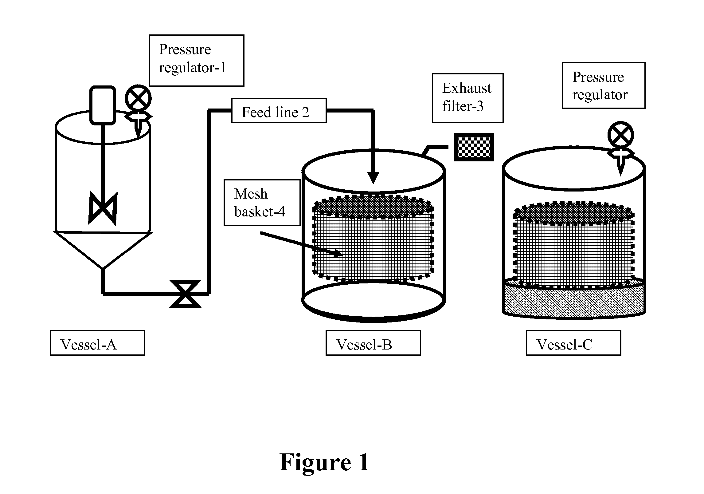 Microparticulated vaccines for the oral or nasal vaccination and boostering of animals including fish