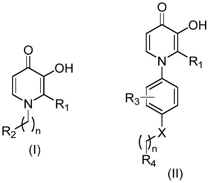 3-hydroxypyridine-4-ketone derivative and application thereof in inhibition of renal cell ferroptosis