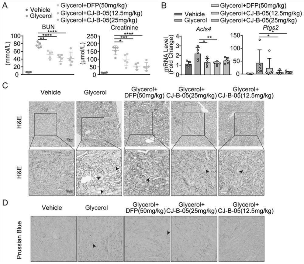 3-hydroxypyridine-4-ketone derivative and application thereof in inhibition of renal cell ferroptosis