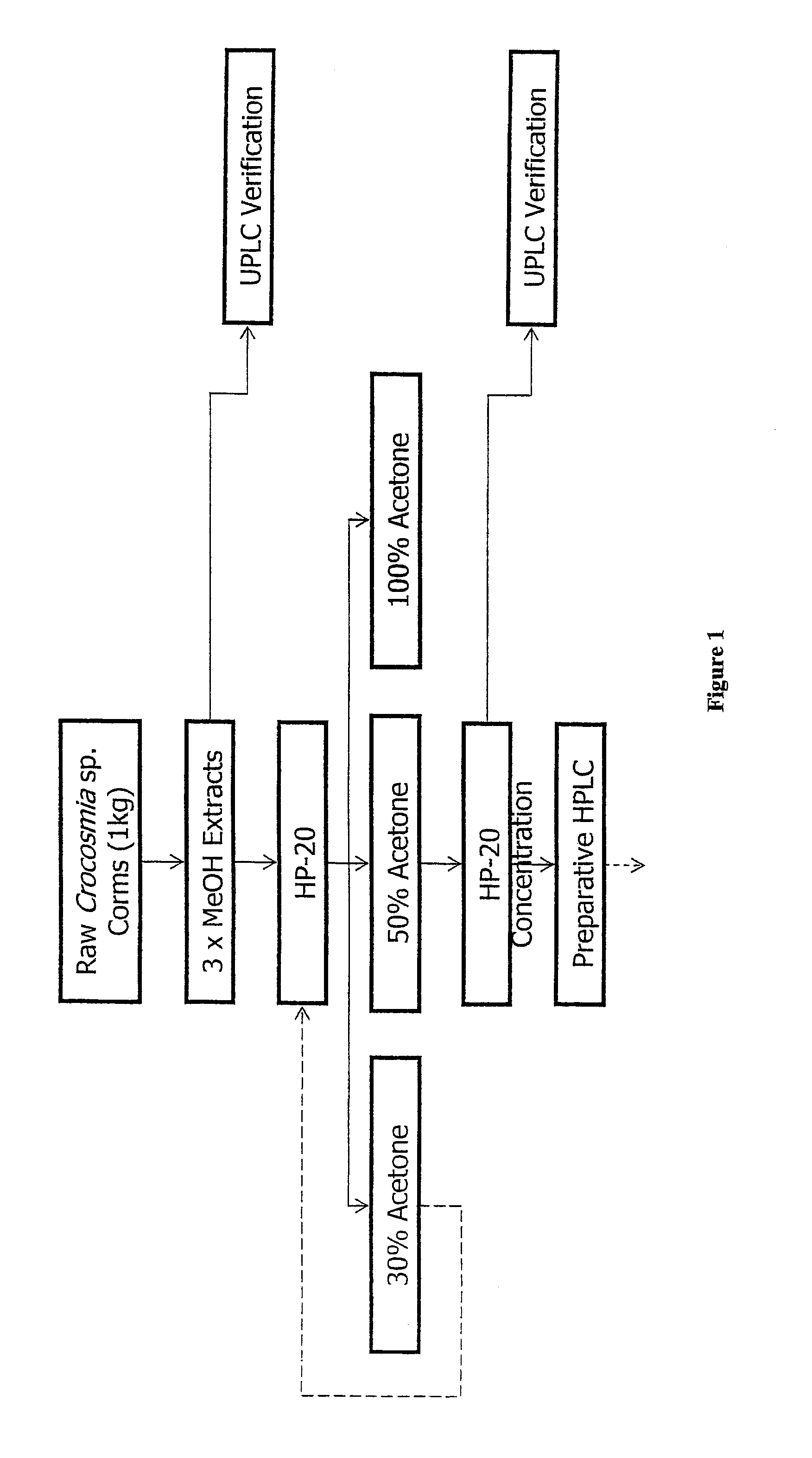 Alpha-amylase inhibitors: the montbretins and uses thereof