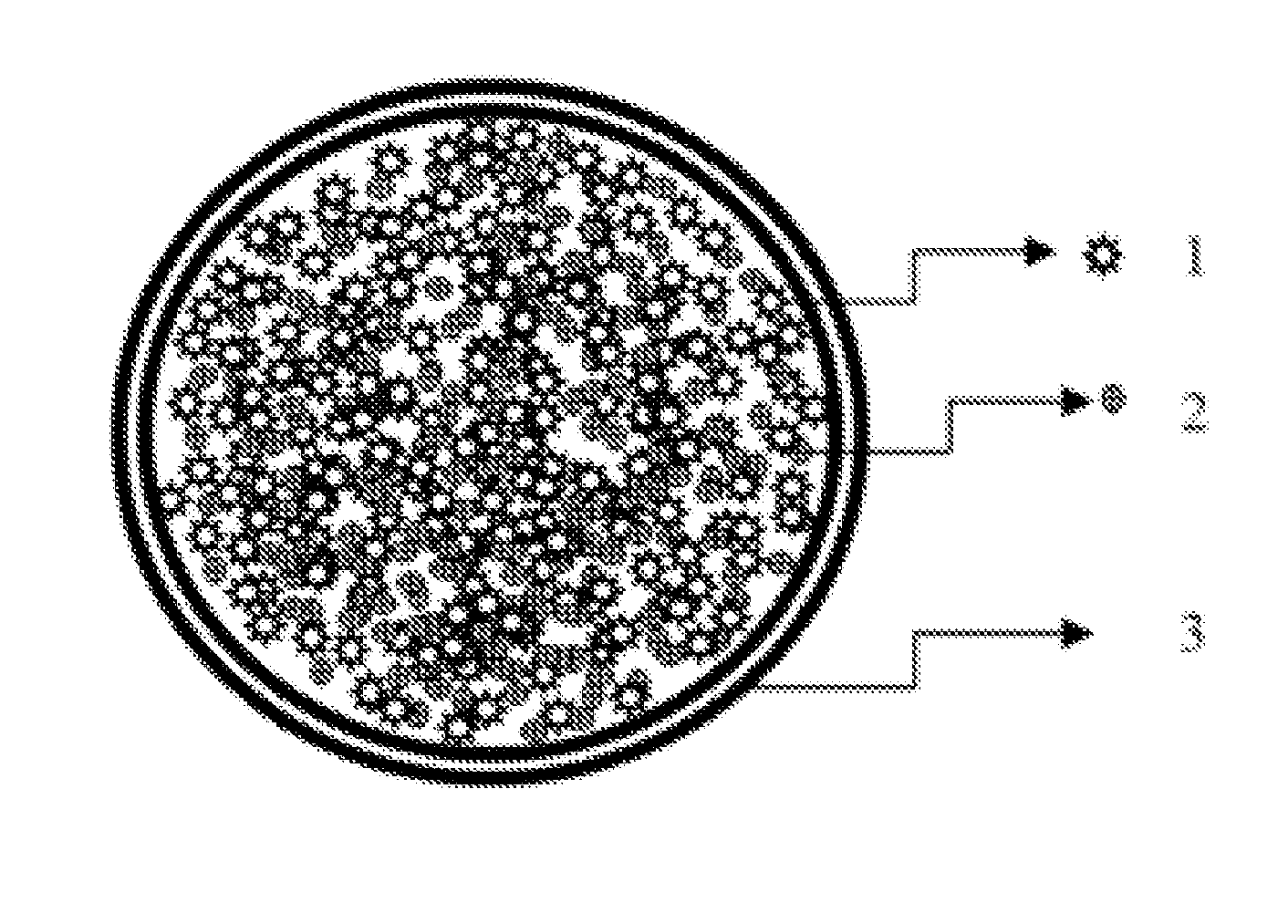 Positioning immediate-release bioadhesive and application thereof