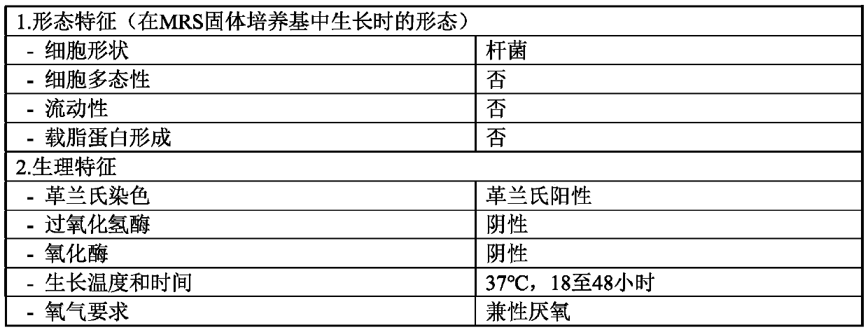 Lactobacillus salivarius cjls1511, animal feed additive composition comprising same bacterium or dead cells thereof, and method for producing same dead cells