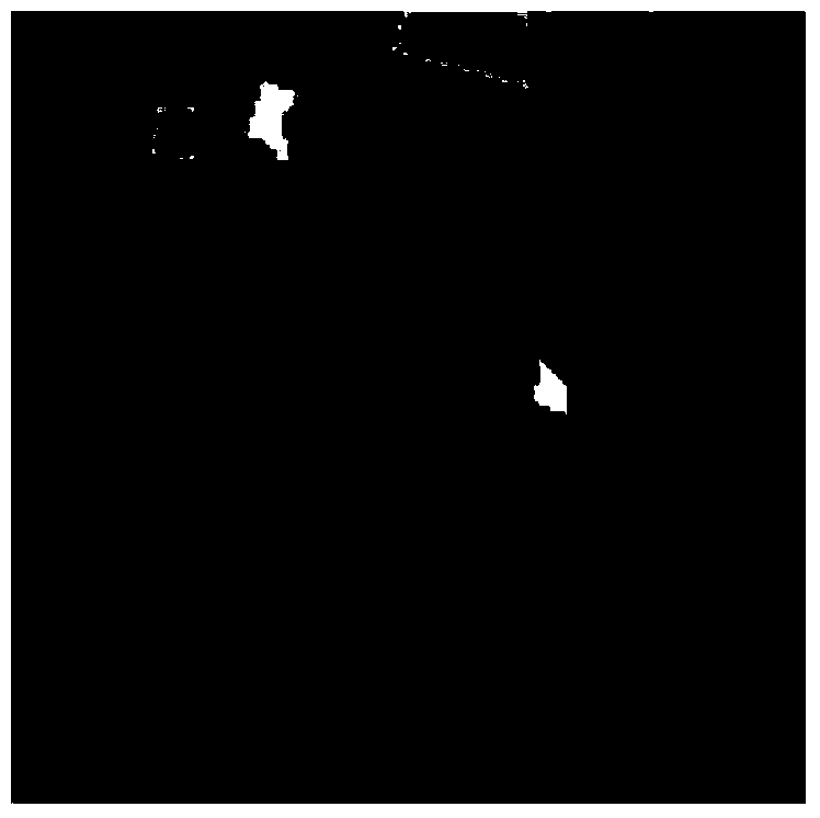 Hyper-spectral image classification method based on non-local similarity and sparse coding