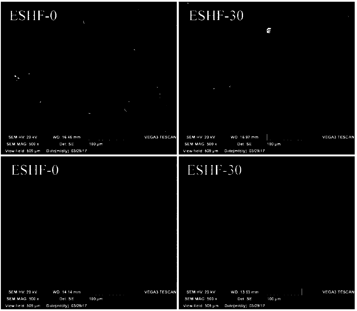 Soy isolate protein/chitosan quaternary ammonium salt composite film and preparation method and application thereof