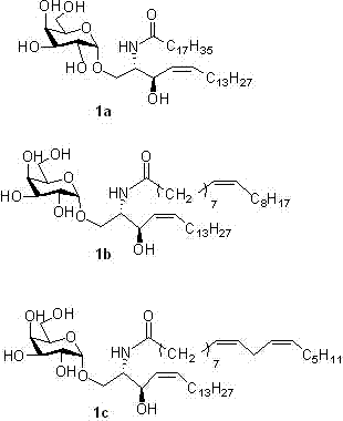 Alpha-galactosyl ceramide new isomer and synthetic method thereof