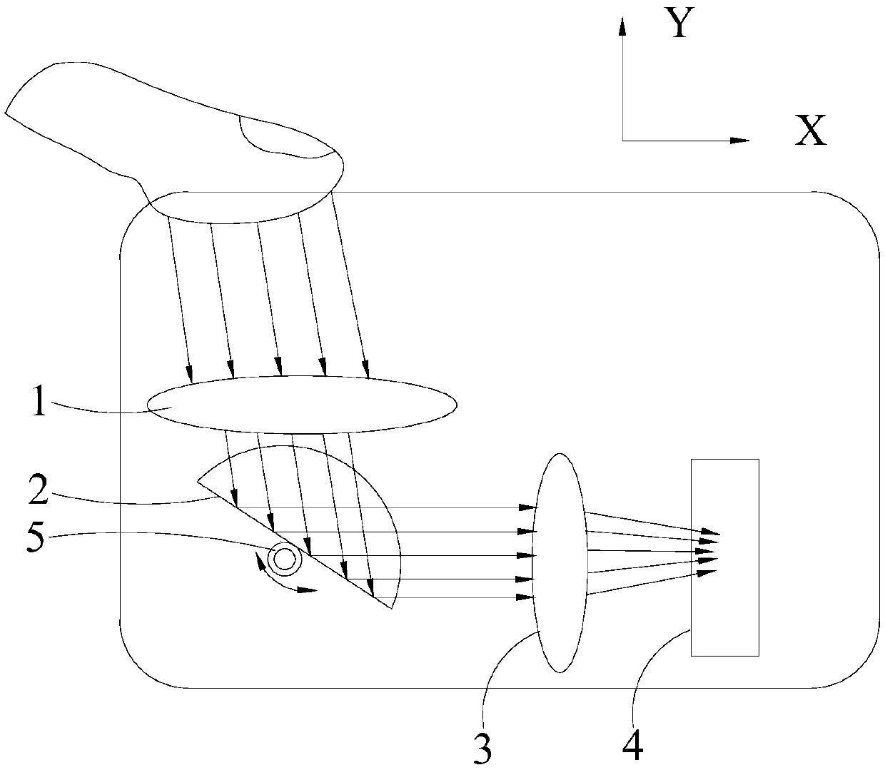 Fingerprint identification module and display device