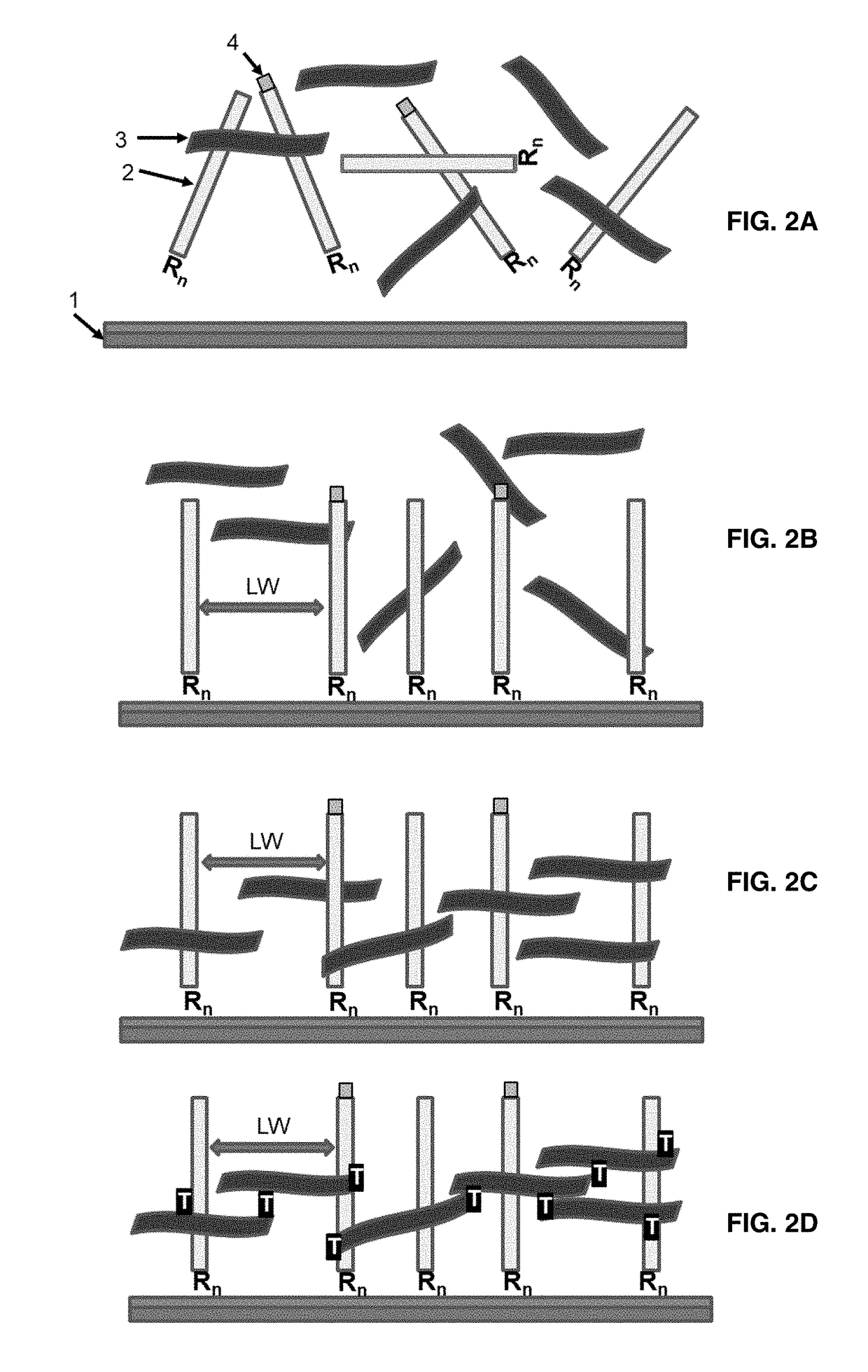 Microarray Based Multiplex Pathogen Analysis and Uses Thereof