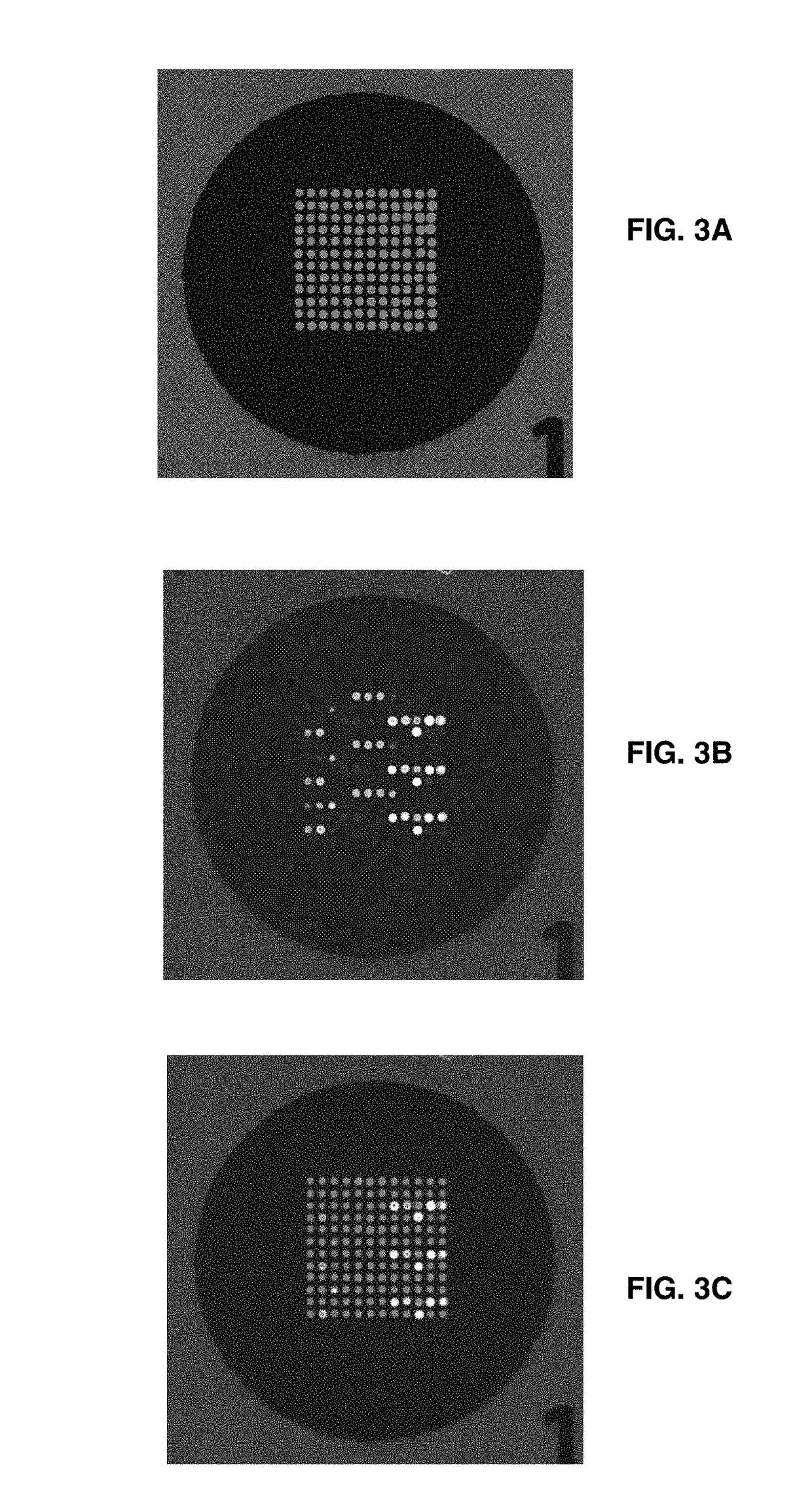 Microarray Based Multiplex Pathogen Analysis and Uses Thereof