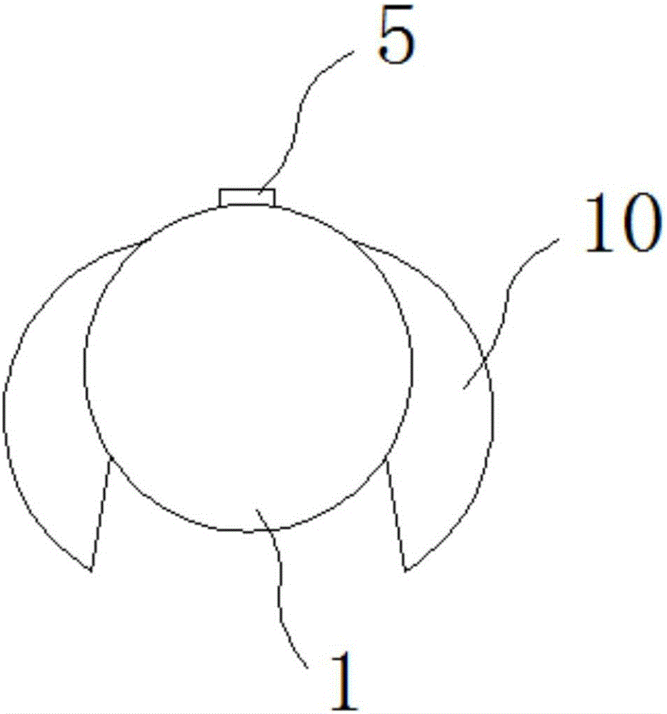 Electronic cigarette having function of illumination